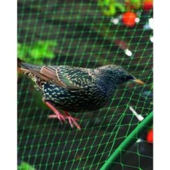 Filet De Protection Oiseaux Pour Poulailler Vert Birdnet 5x10m - Nortene 7 Filet De Protection Oiseaux Pour Poulailler Vert Birdnet 5x10m - Nortene -Chemin des Poulaillers Boutique wil 28903 3 2d20d613 9391 4027 ad1e ea5e9c2143b9 620x